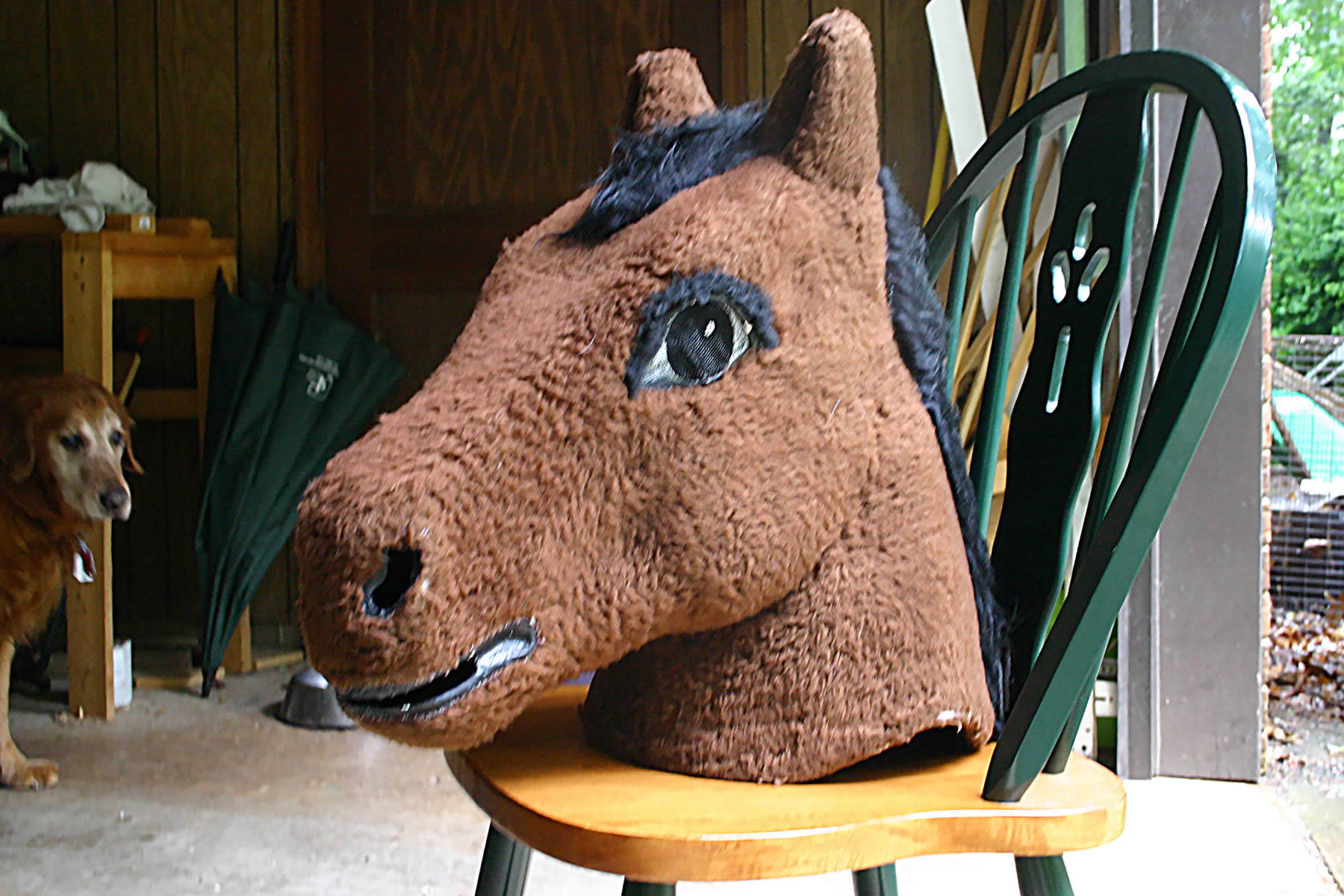 benjamin with horse head